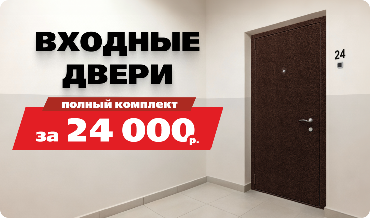 Входные двери 24000